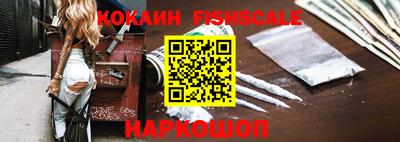 стафф Камышлов