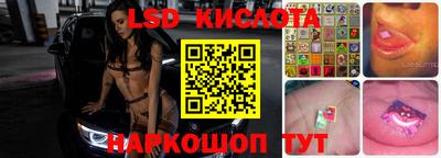 стафф Камышлов
