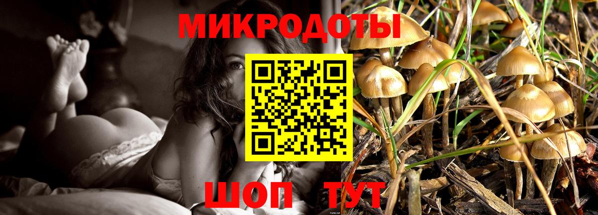 Галлюциногенные грибы Psilocybine cubensis Ростов Великий